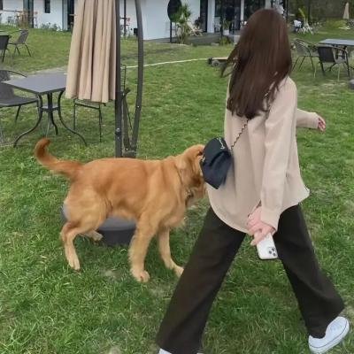 成年人的谎言生活